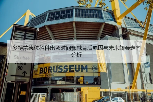 多特蒙德穆科科出场时间骤减背后原因与未来转会走向分析